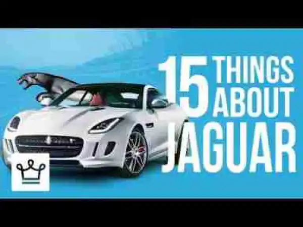 Video: 15 Things You Didn